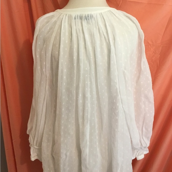 Zara, Elegant Swiss dot chiffon peasant blouse - Picture 7 of 8